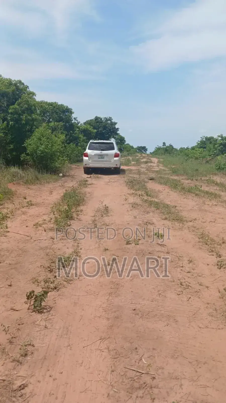 Verified Land in Ibusa (St Kitts) • 50×100 • ₦6m • Verified Docs in Oshimili North