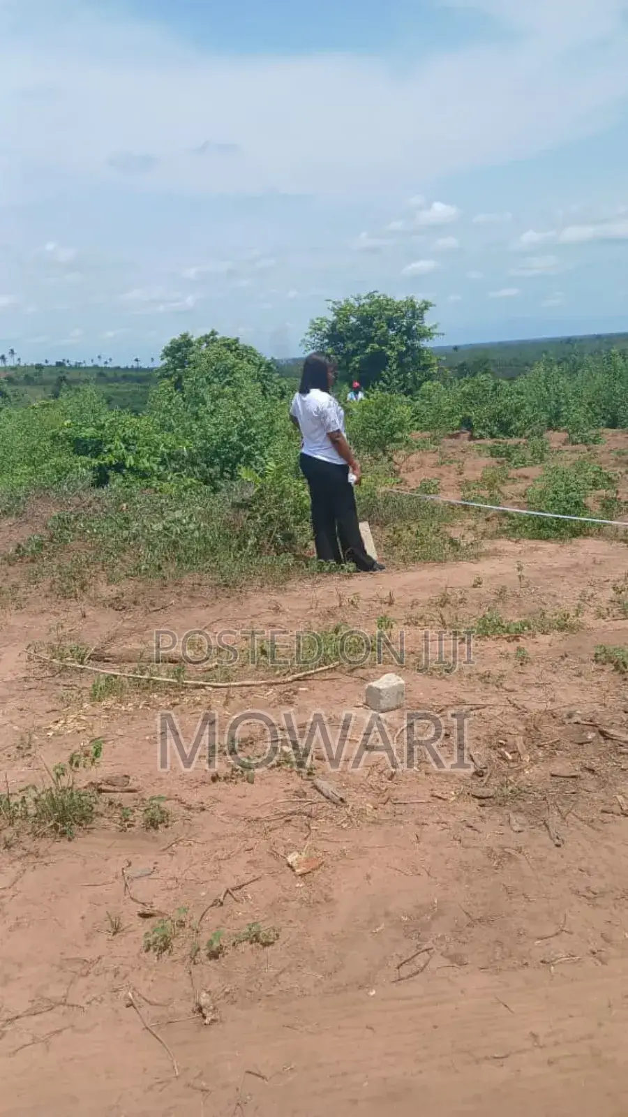Verified Land in Ibusa (St Kitts) • 50×100 • ₦6m • Verified Docs in Oshimili North