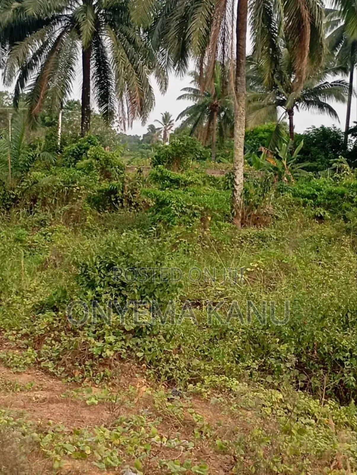 4 Plots by Aba-Portharcourt Highway in Ukwa