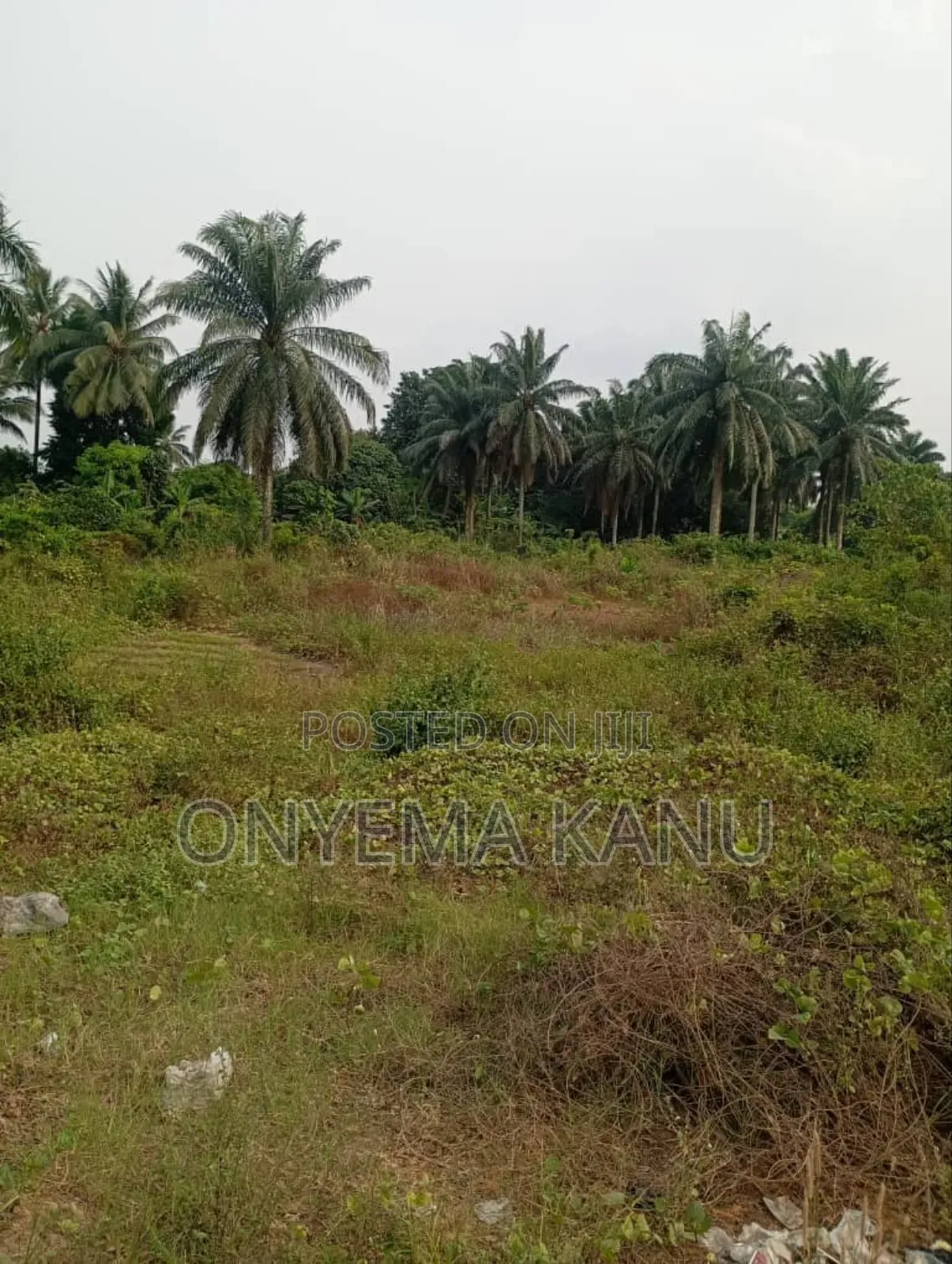 4 Plots by Aba-Portharcourt Highway in Ukwa