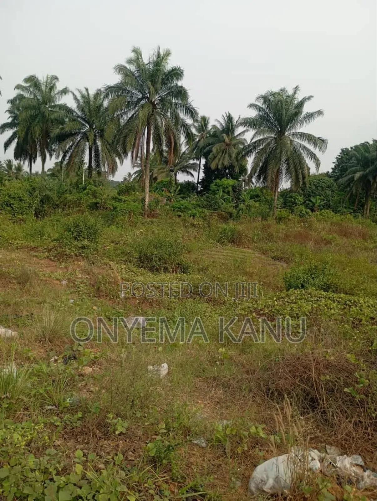 4 Plots by Aba-Portharcourt Highway in Ukwa