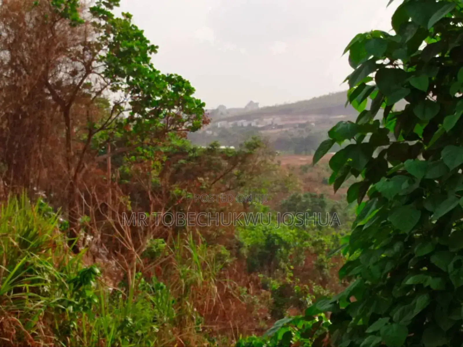 Greater Grace Estate in Anambra West