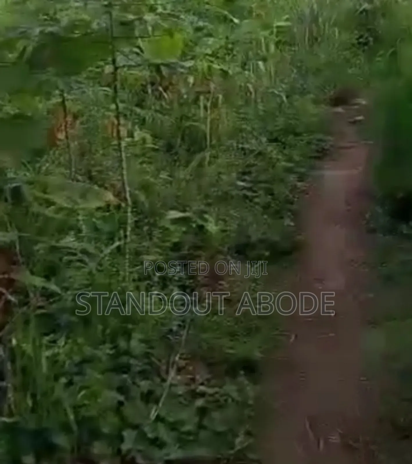 Invest In Landbanking And Buy Lans In Ilu Oba in Ibadan