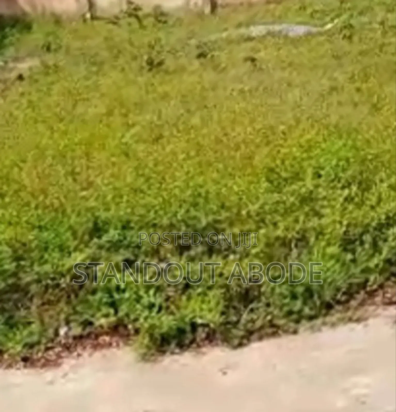 Invest In Landbanking And Buy Lans In Ilu Oba in Ibadan