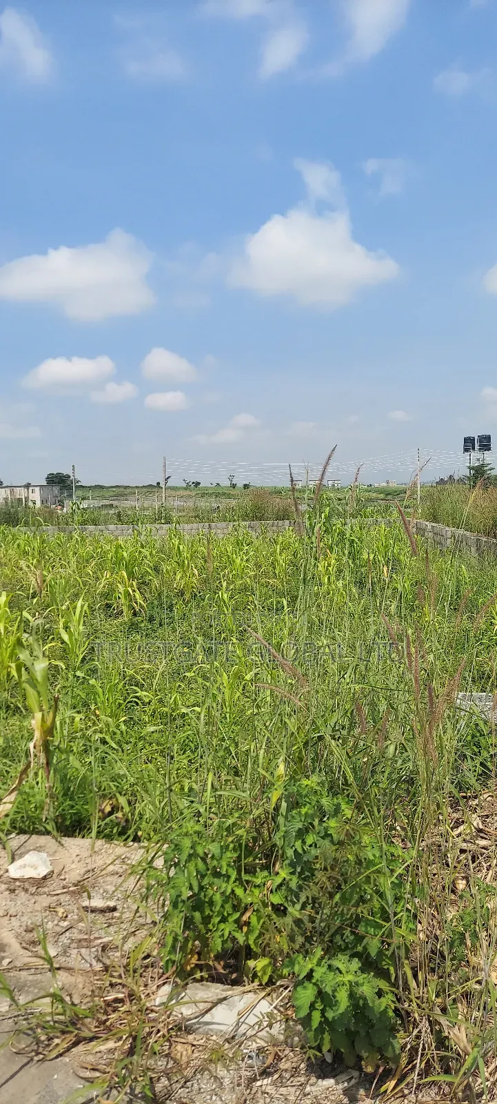 13.39 Hectares in Karsana West in Karsana