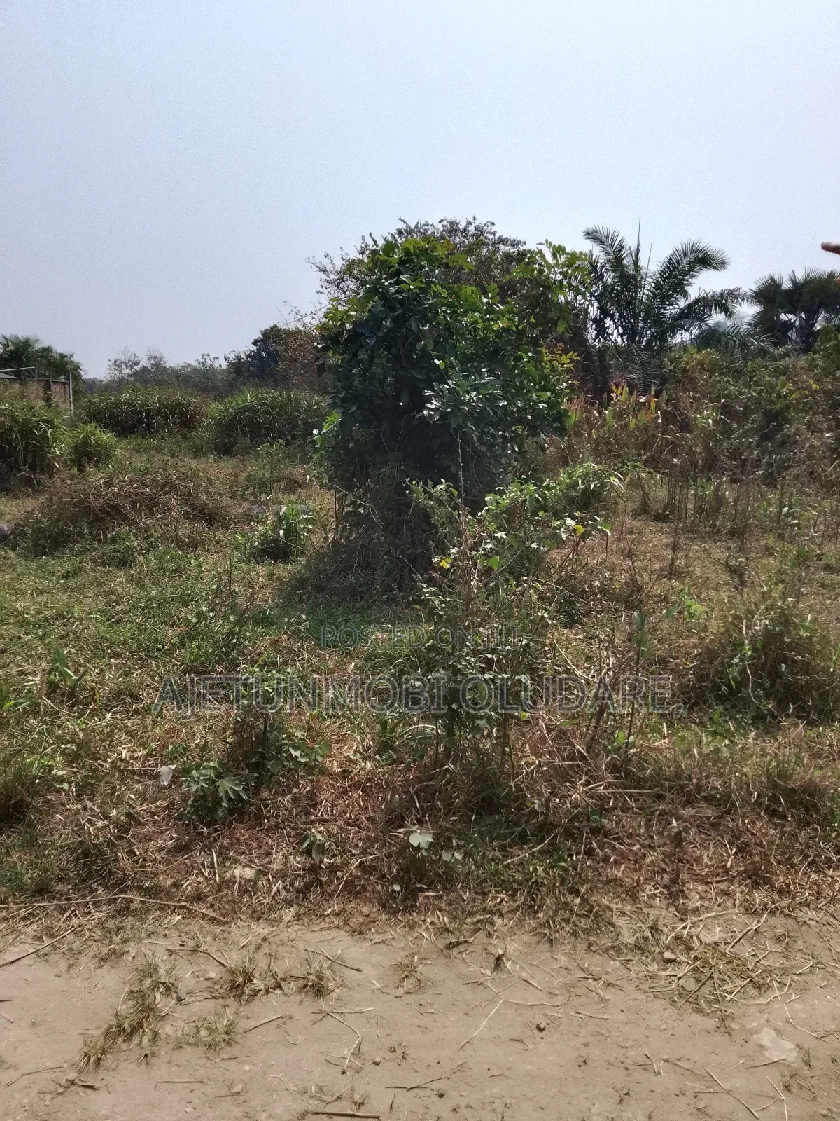 Land and 2 Confirm Plots for Sale in Ado Ekiti