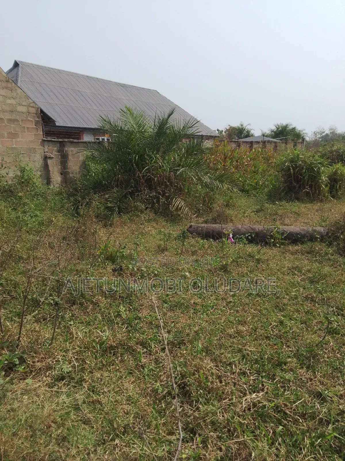 Land and 2 Confirm Plots for Sale in Ado Ekiti