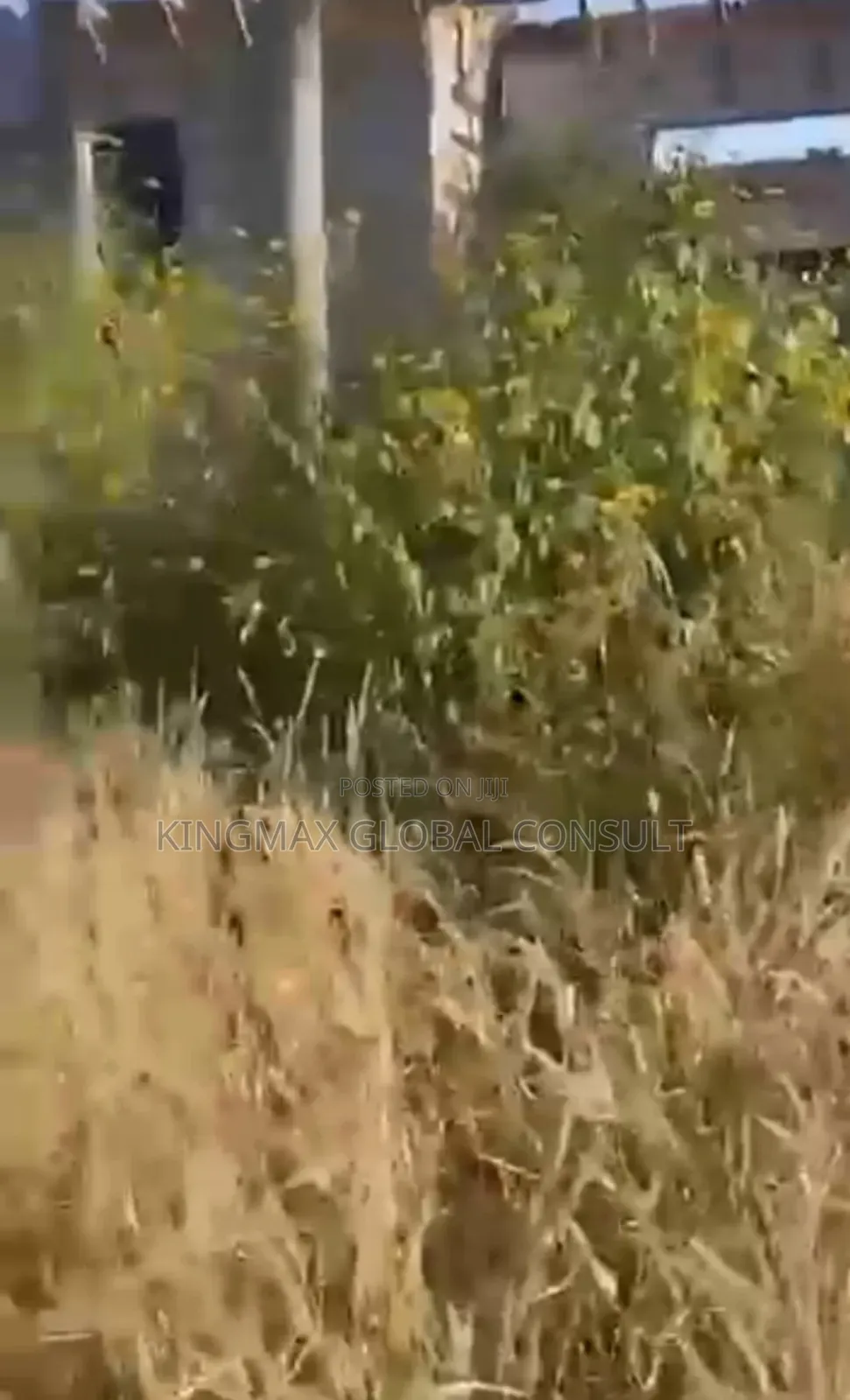 Idu Industrial Commercial Plot for Sale: Rofo Size: 1.04ha in Idu Industrial