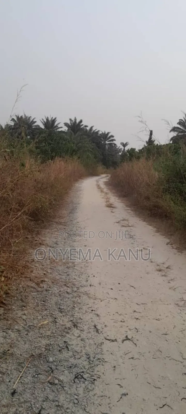 20 Fertile Plots for a Lucky Buyer. in Ukwa