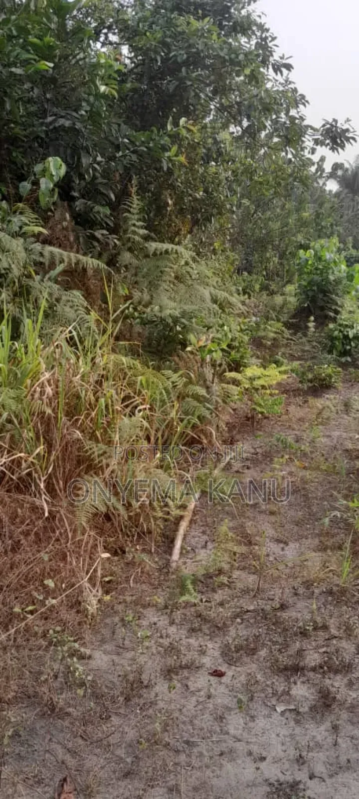 20 Fertile Plots for a Lucky Buyer. in Ukwa