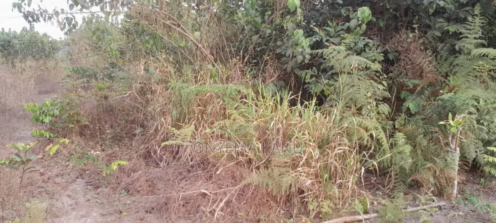 20 Fertile Plots for a Lucky Buyer. in Ukwa