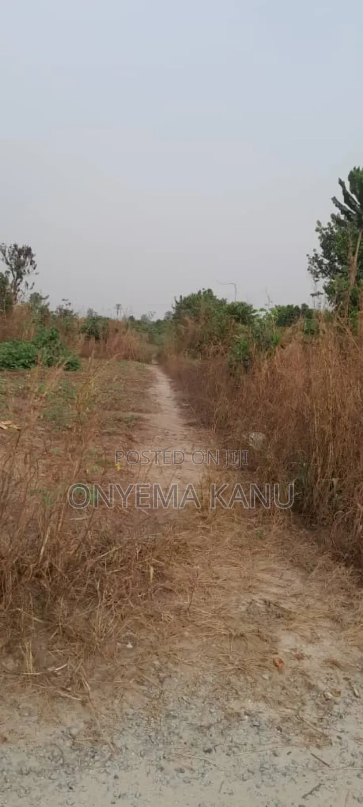 20 Fertile Plots for a Lucky Buyer. in Ukwa