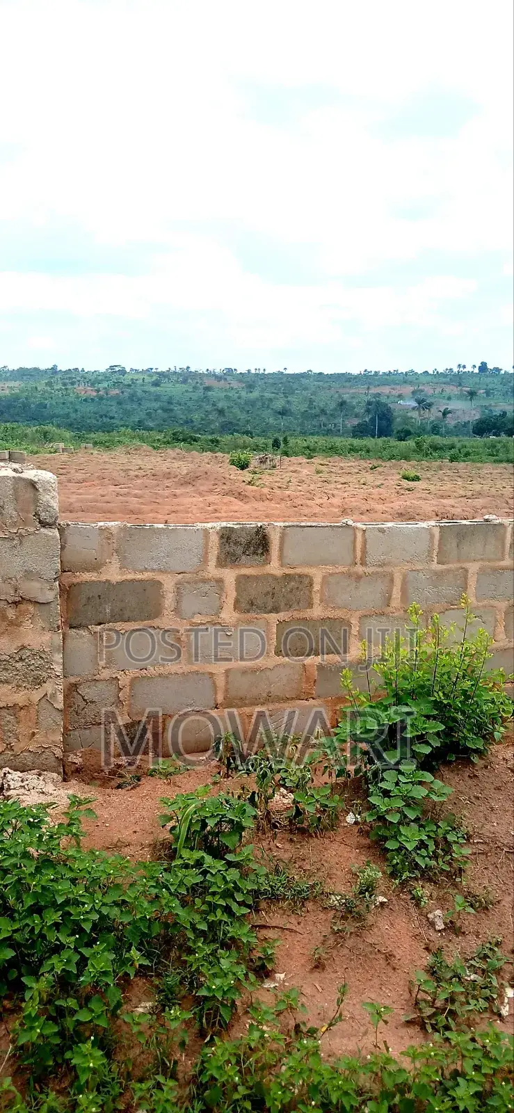 Start Your Land Journey Where Smart Owners Begin — St. Kitts, Ibusa.” in Oshimili North