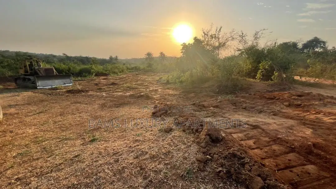 Buy 5plots and Get 1 Fee, Affordable Property for Investment With Cofo in Ibadan