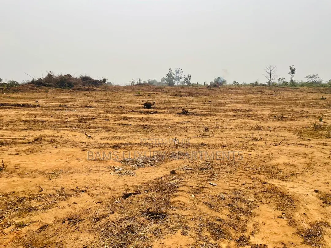 Buy 5plots and Get 1 Fee, Affordable Property for Investment With Cofo in Ibadan