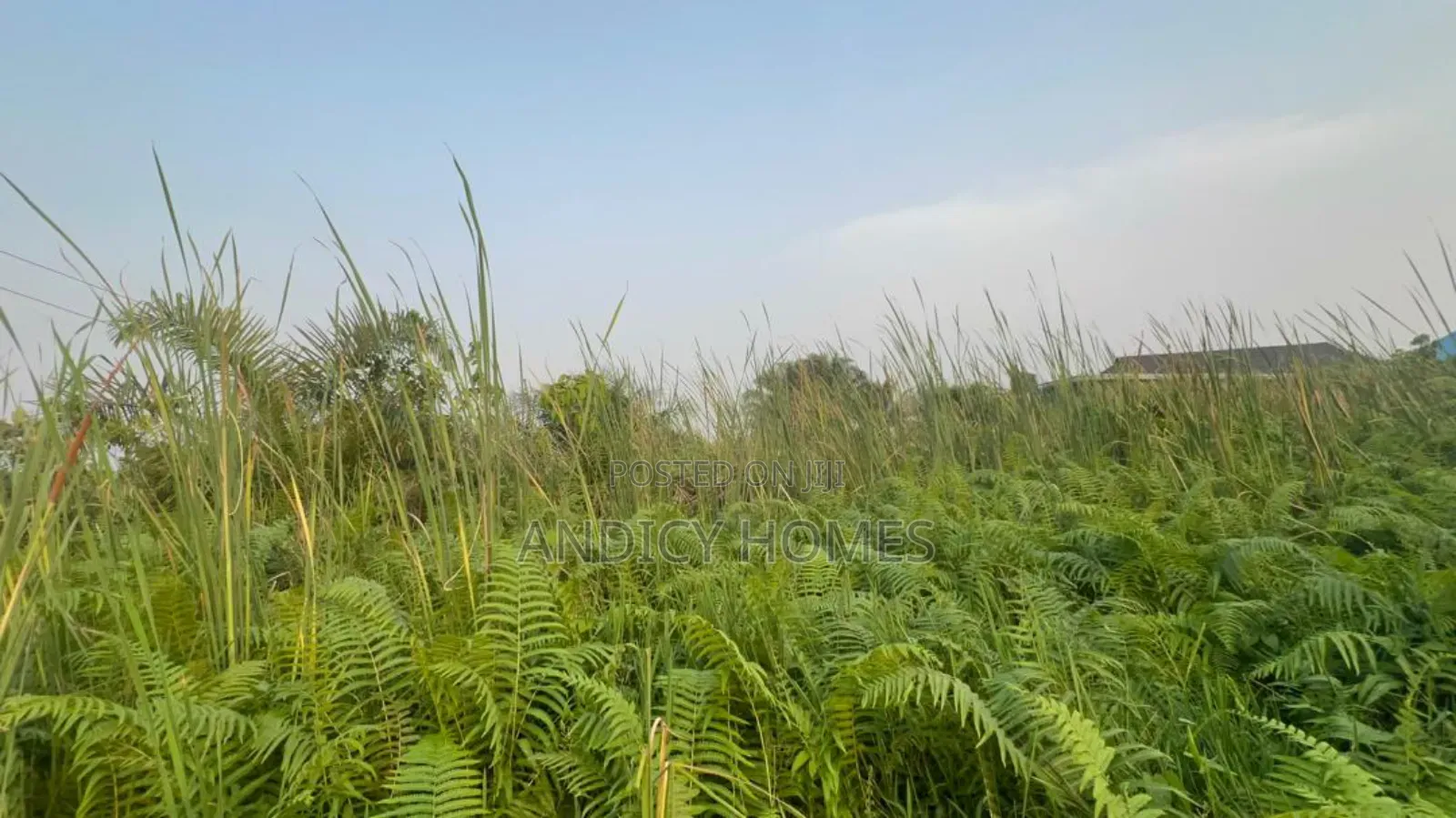 Buy and Build Land for Sale With Igbojia Excision, Bogije Ibeju Lekki in Bogije