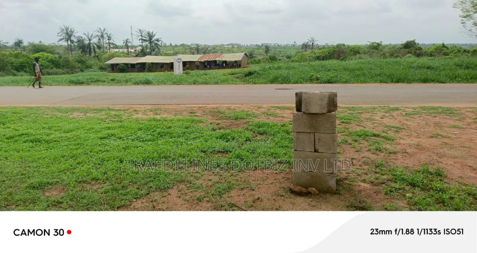 9and Half Plots at Ofada in Ifo