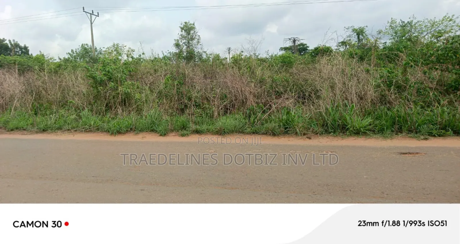 9and Half Plots at Ofada in Ifo
