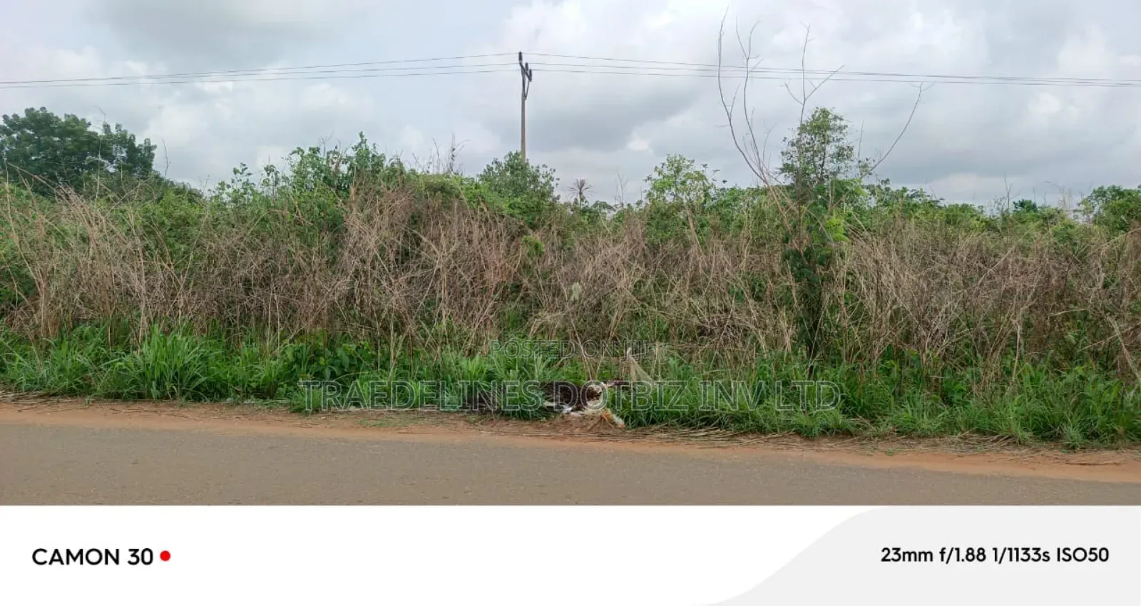 9and Half Plots at Ofada in Ifo