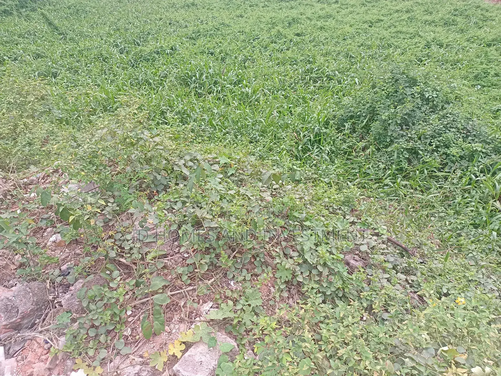 Landed Property in Berger