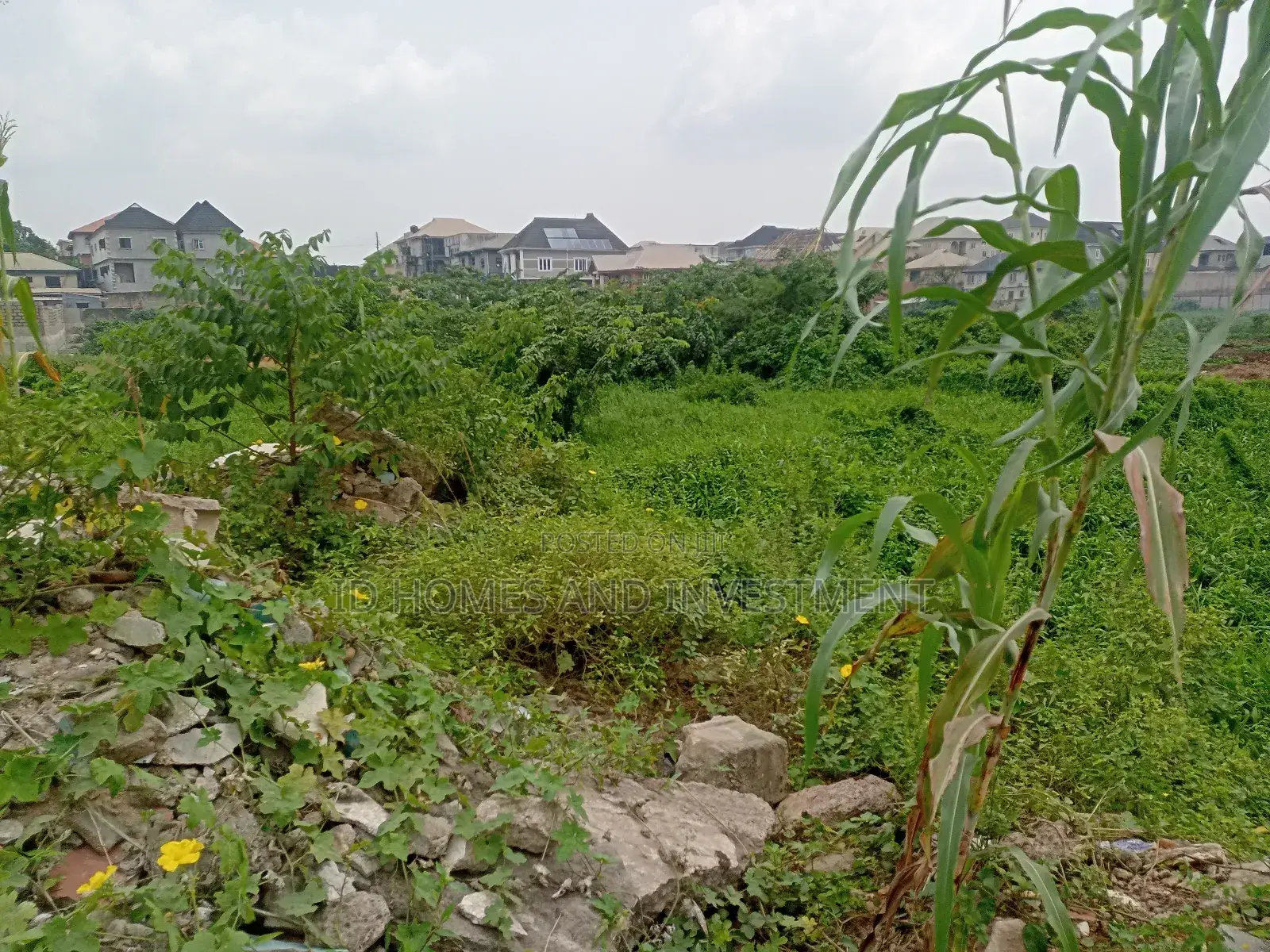 Landed Property in Berger