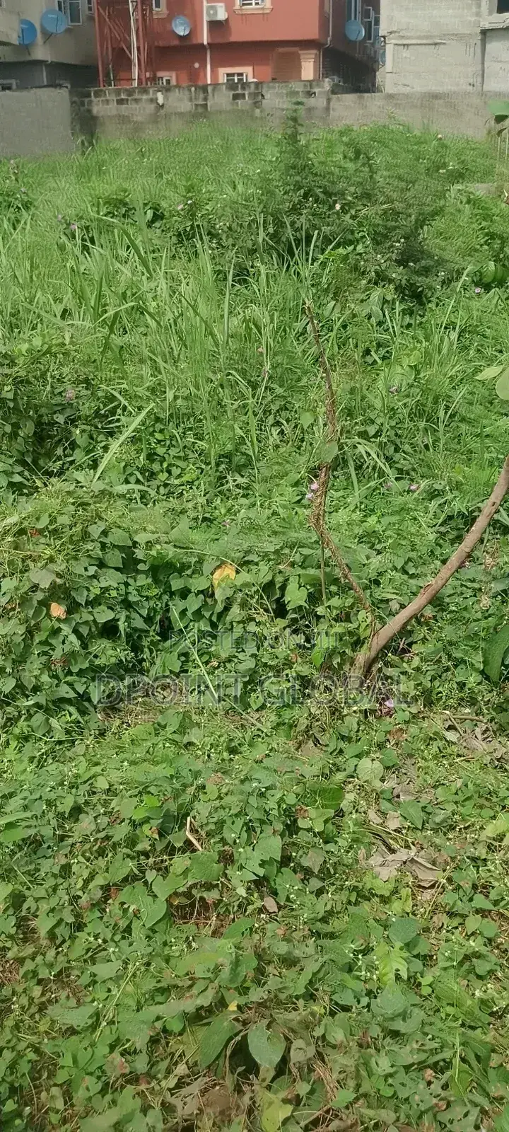 A Full Plot of Land in P T Estate in Alimosho