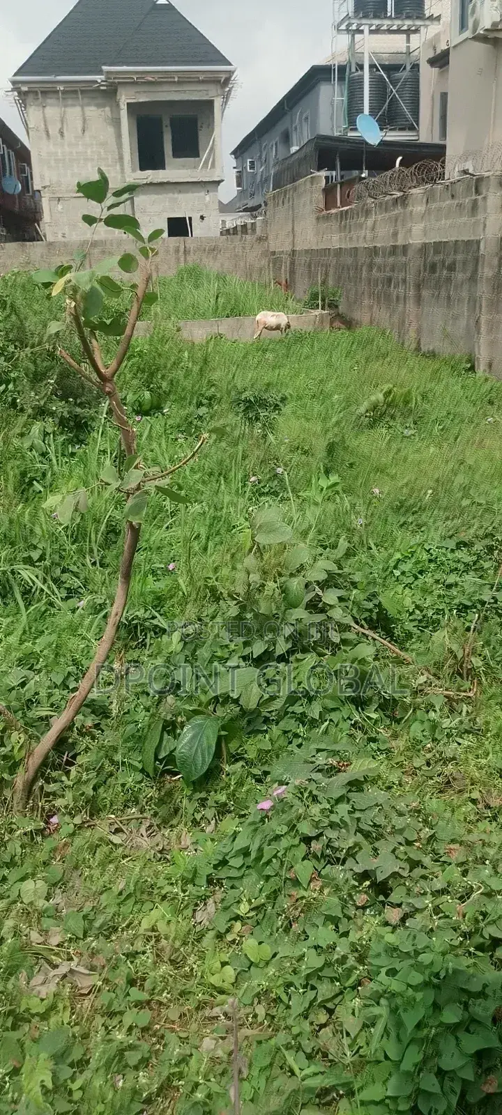 A Full Plot of Land in P T Estate in Alimosho