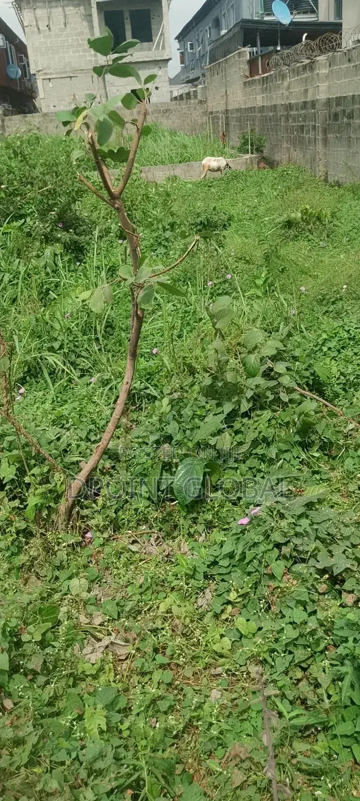 A Full Plot of Land in P T Estate in Alimosho