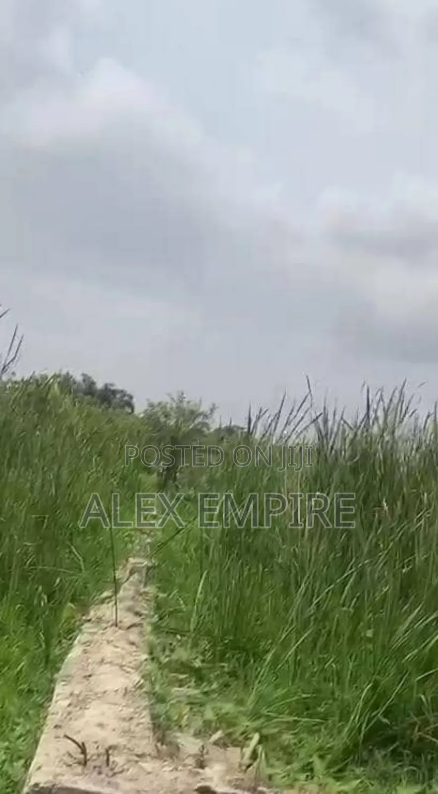 Land for Sale in Waterfront Banana Island, Ikoyi in Banana Island