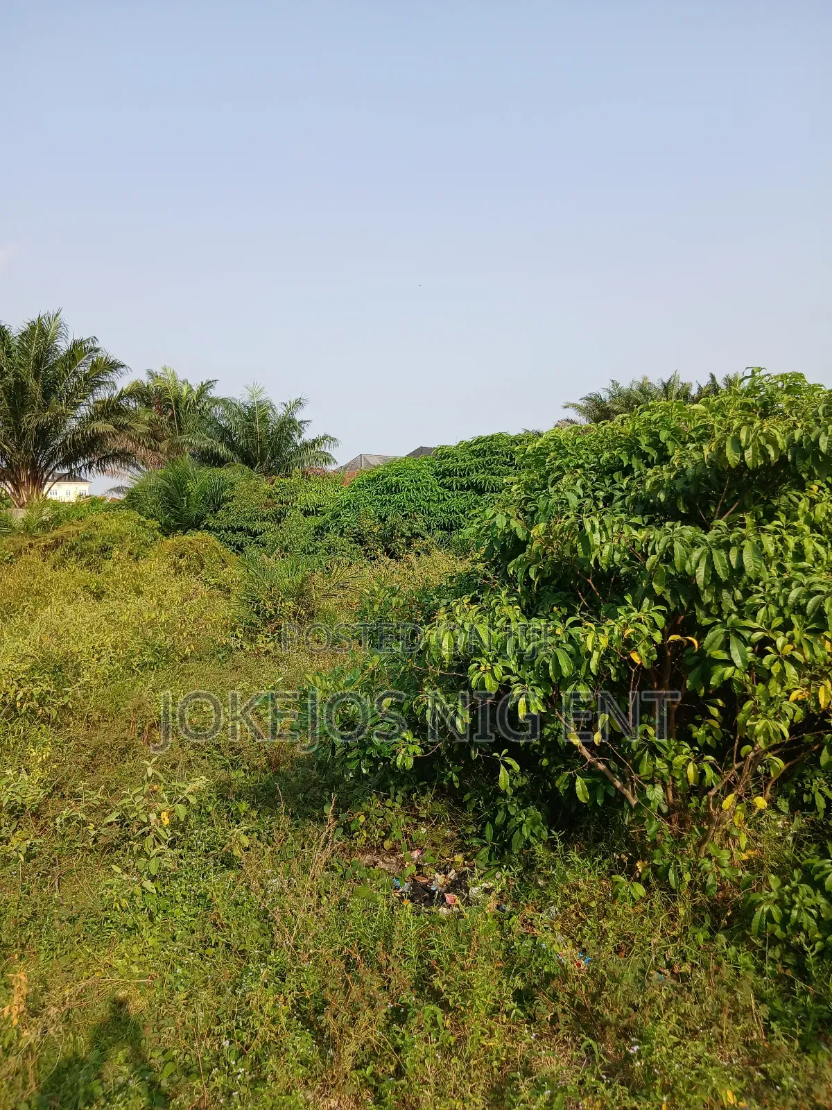 Freehold Deed of Assignment Survey Plan in Awoyaya
