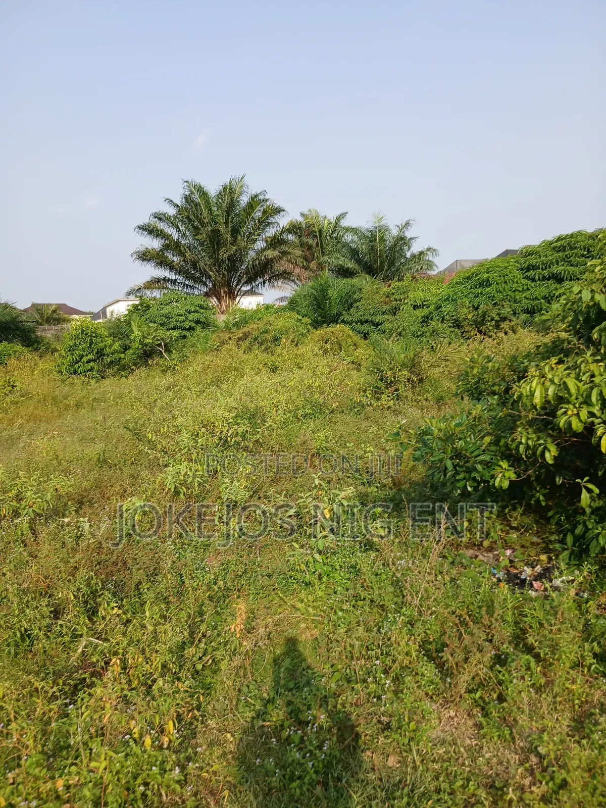 Freehold Deed of Assignment Survey Plan in Awoyaya