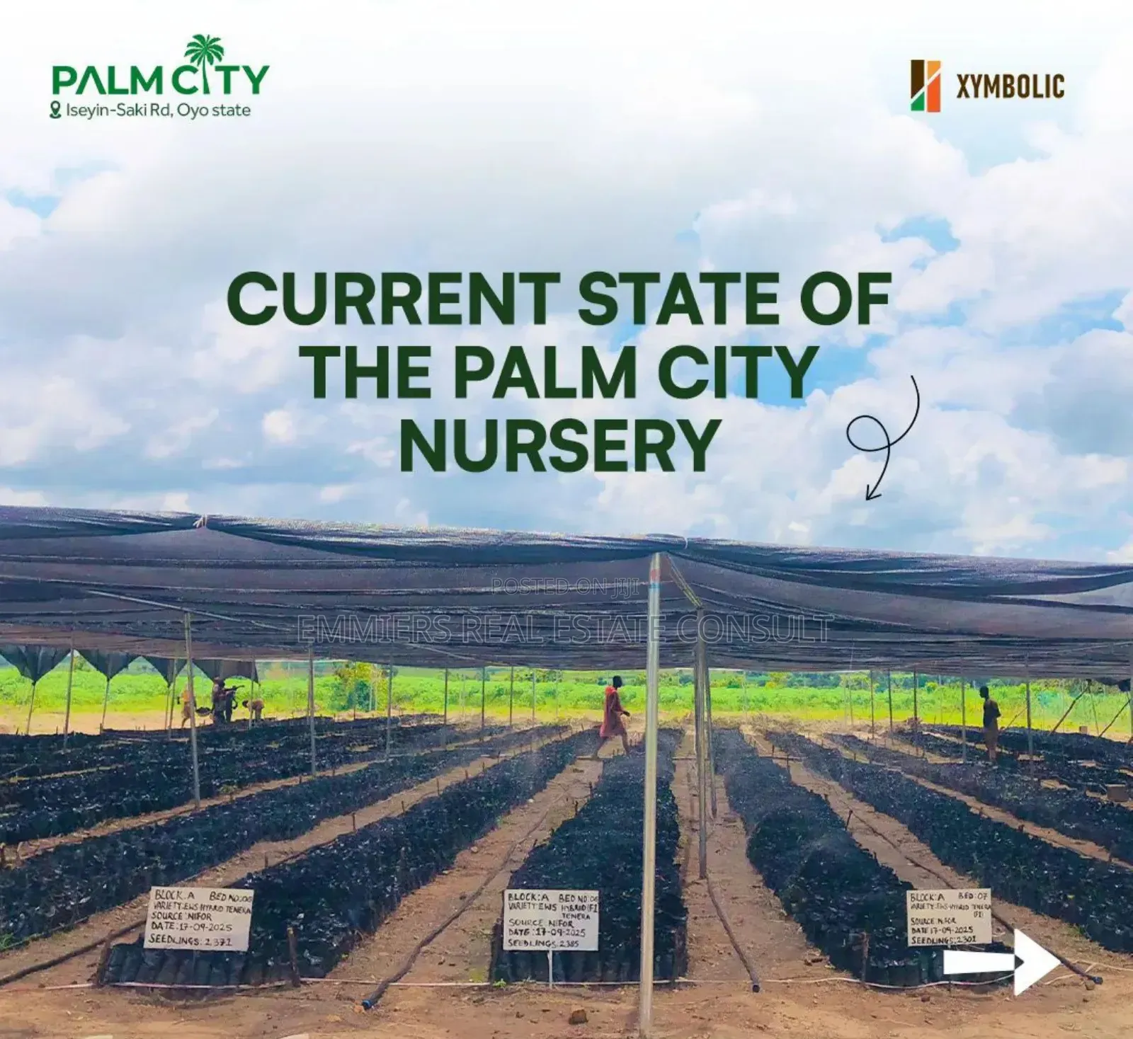 Palm City Farmland in Iseyin