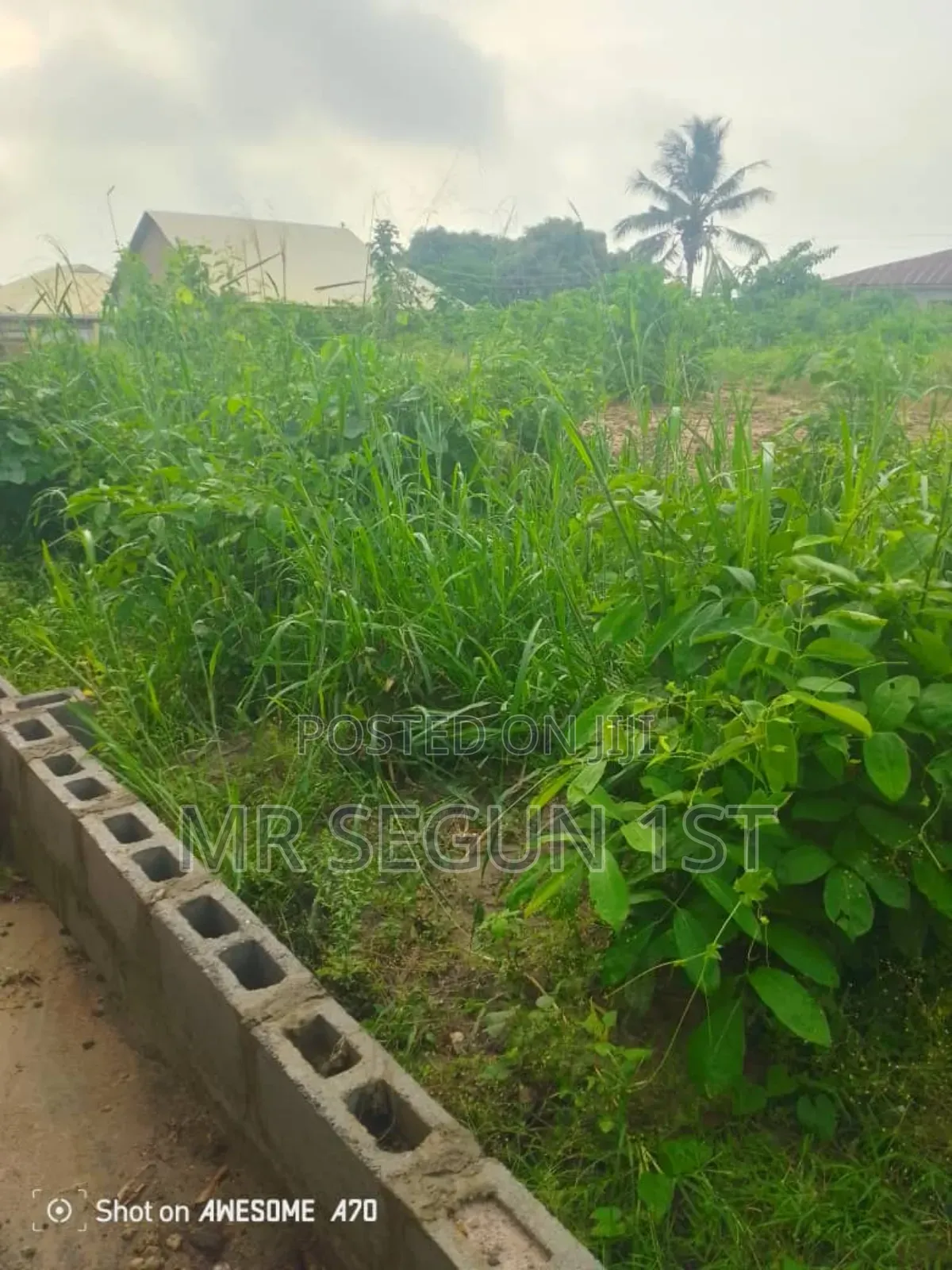 Land for Sale in Ologuneru