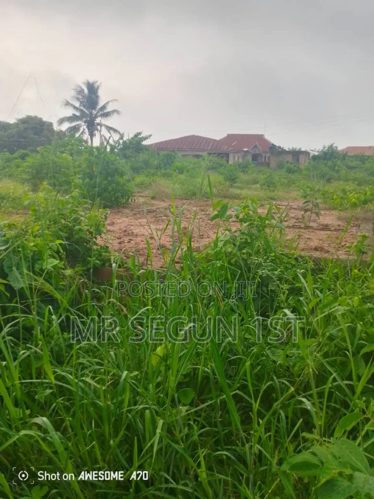 Land for Sale in Ologuneru