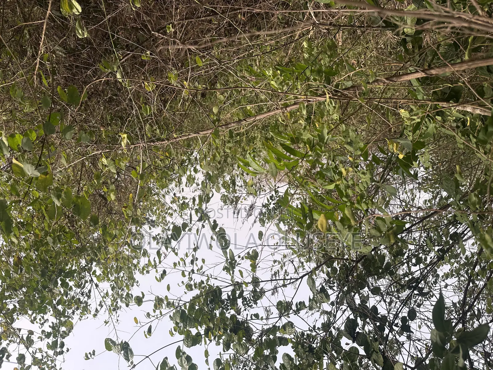 Mixed Used Farmland Available in Odeda