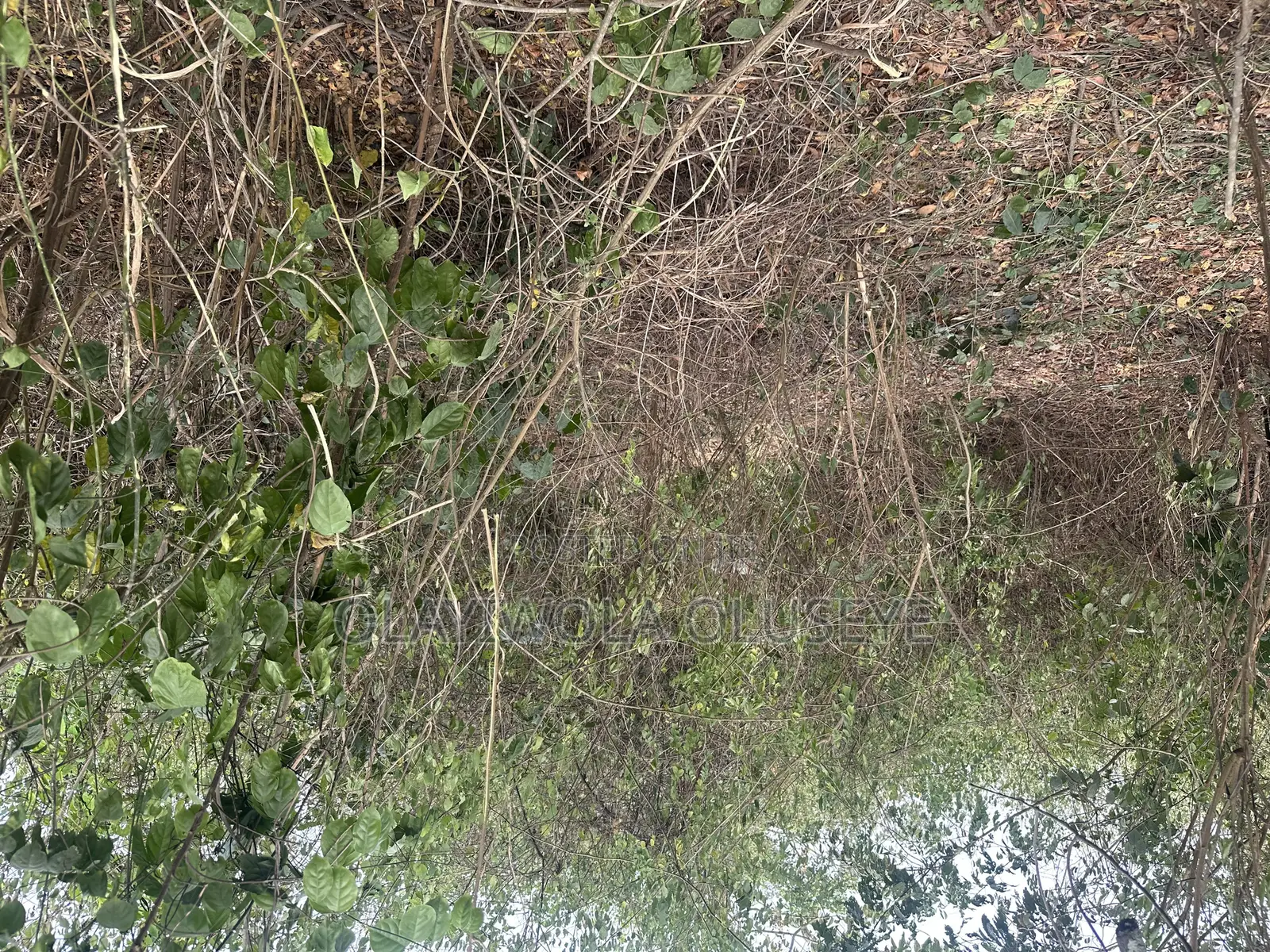 Mixed Used Farmland Available in Odeda