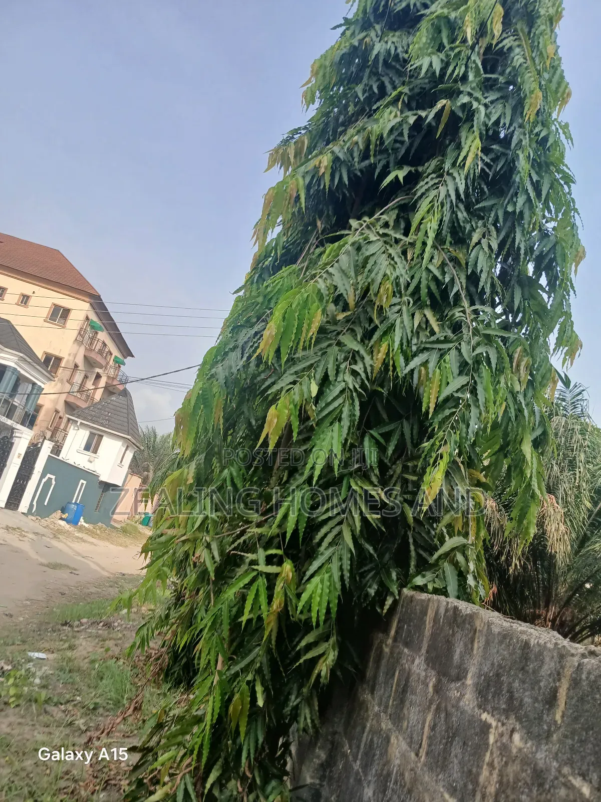 Half Plot of Land for Sale in Ogombo