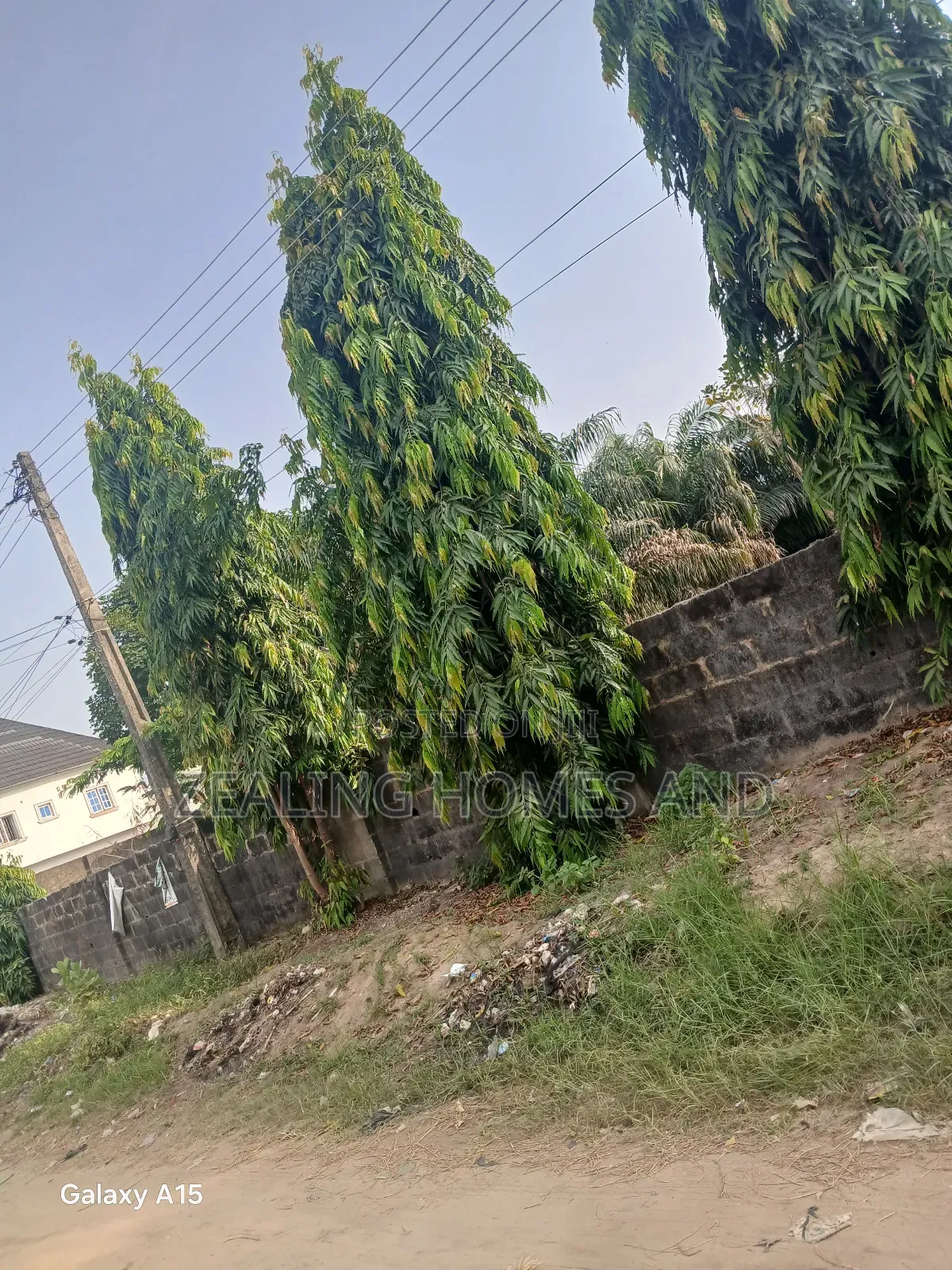 Half Plot of Land for Sale in Ogombo