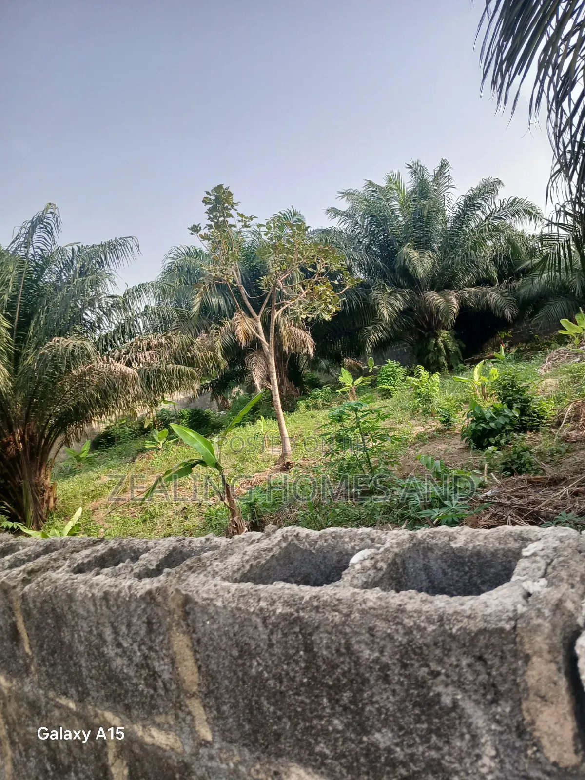 Half Plot of Land for Sale in Ogombo
