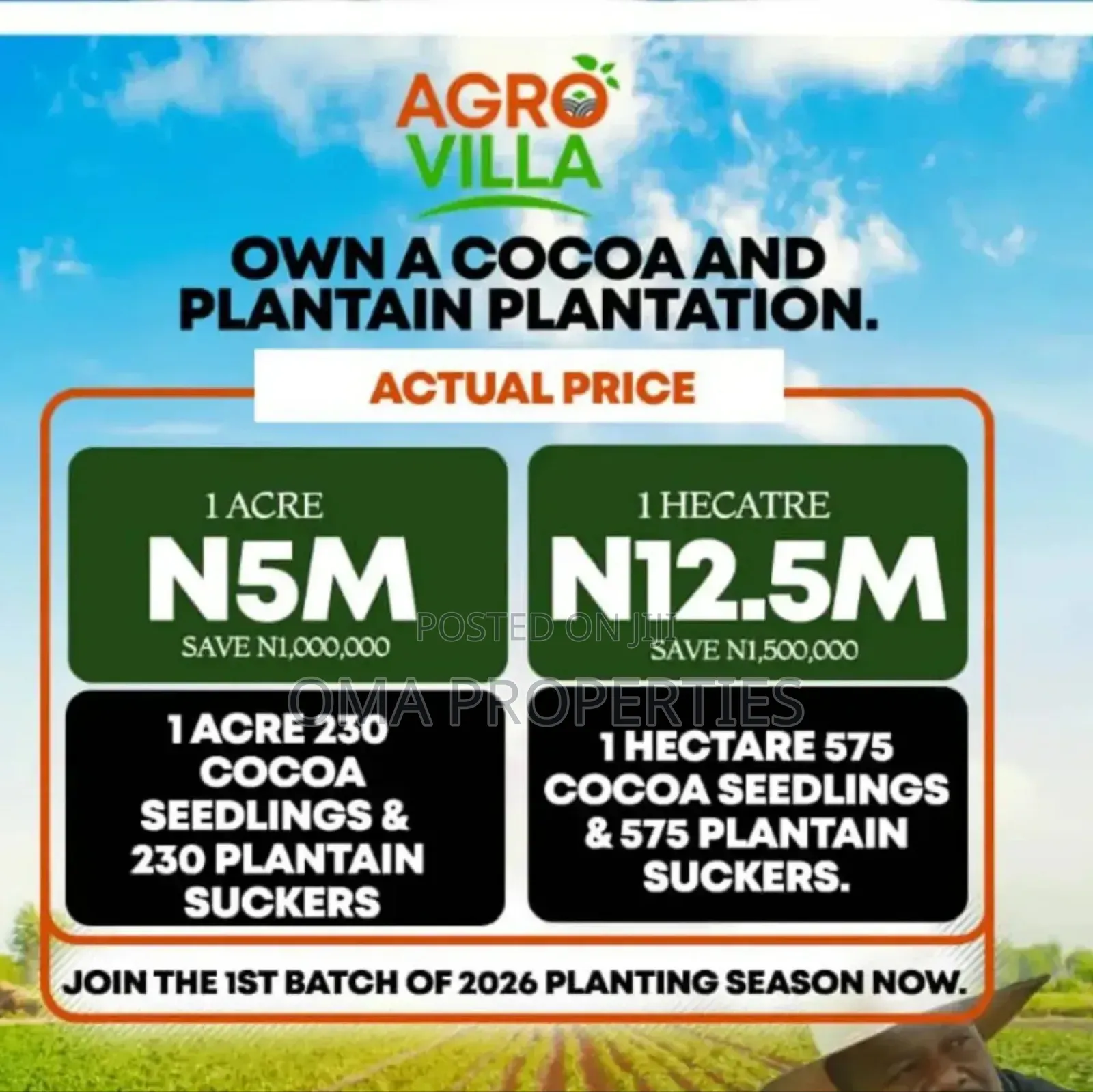 Invest in Cocoa Farming Without Getting Your Hands Dirty. in Ewekoro