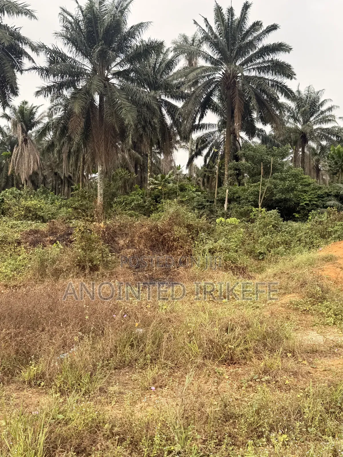 Land for Sale in Port-Harcourt