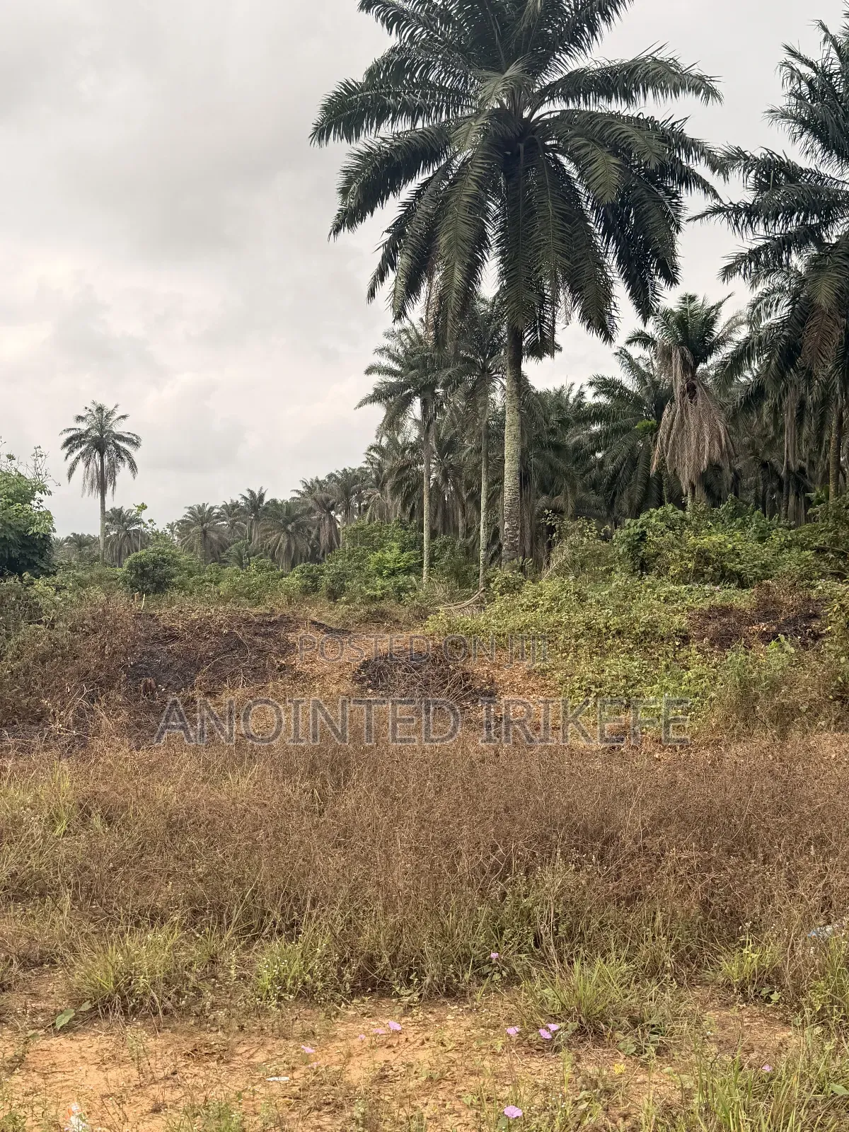 Land for Sale in Port-Harcourt