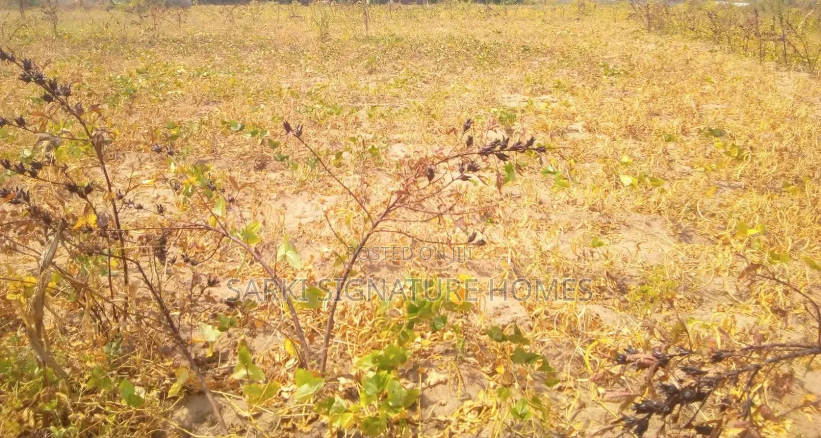 1398sqm at Gaduwa in Gaduwa