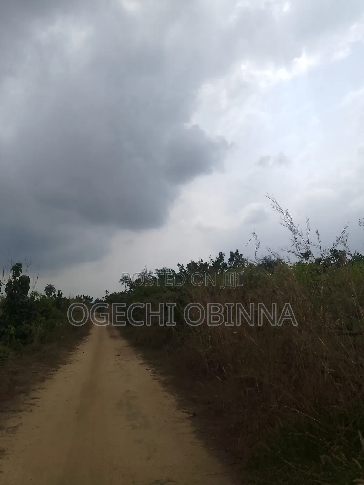 Distress Sale of 10 Plots of Land for 3m in Ulakwo Etche in Port-Harcourt