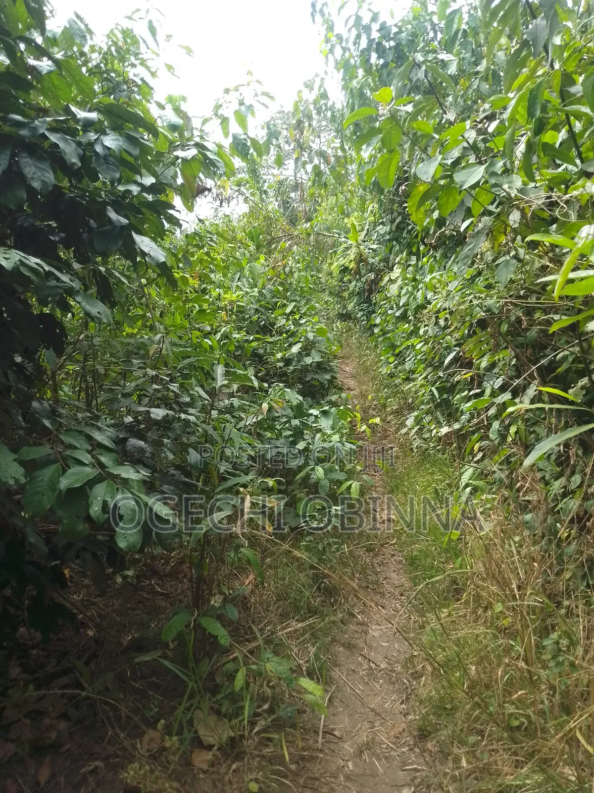 Distress Sale of 10 Plots of Land for 3m in Ulakwo Etche in Port-Harcourt