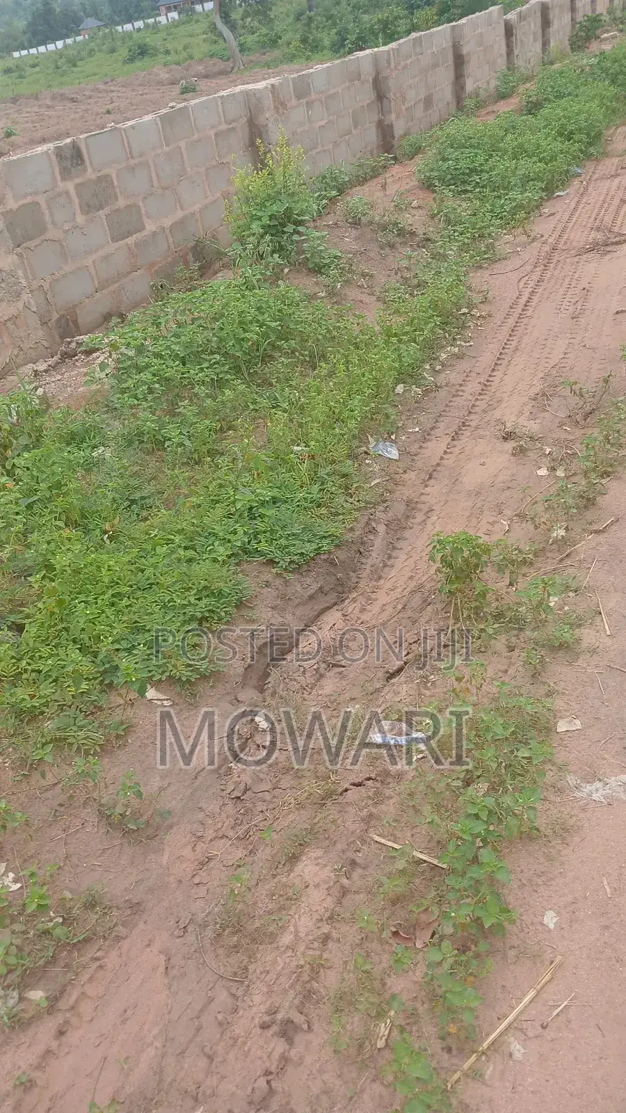 St Kitts, Ibusa • Verified 50×100 Land • ₦6m • Secure Docs in Oshimili North