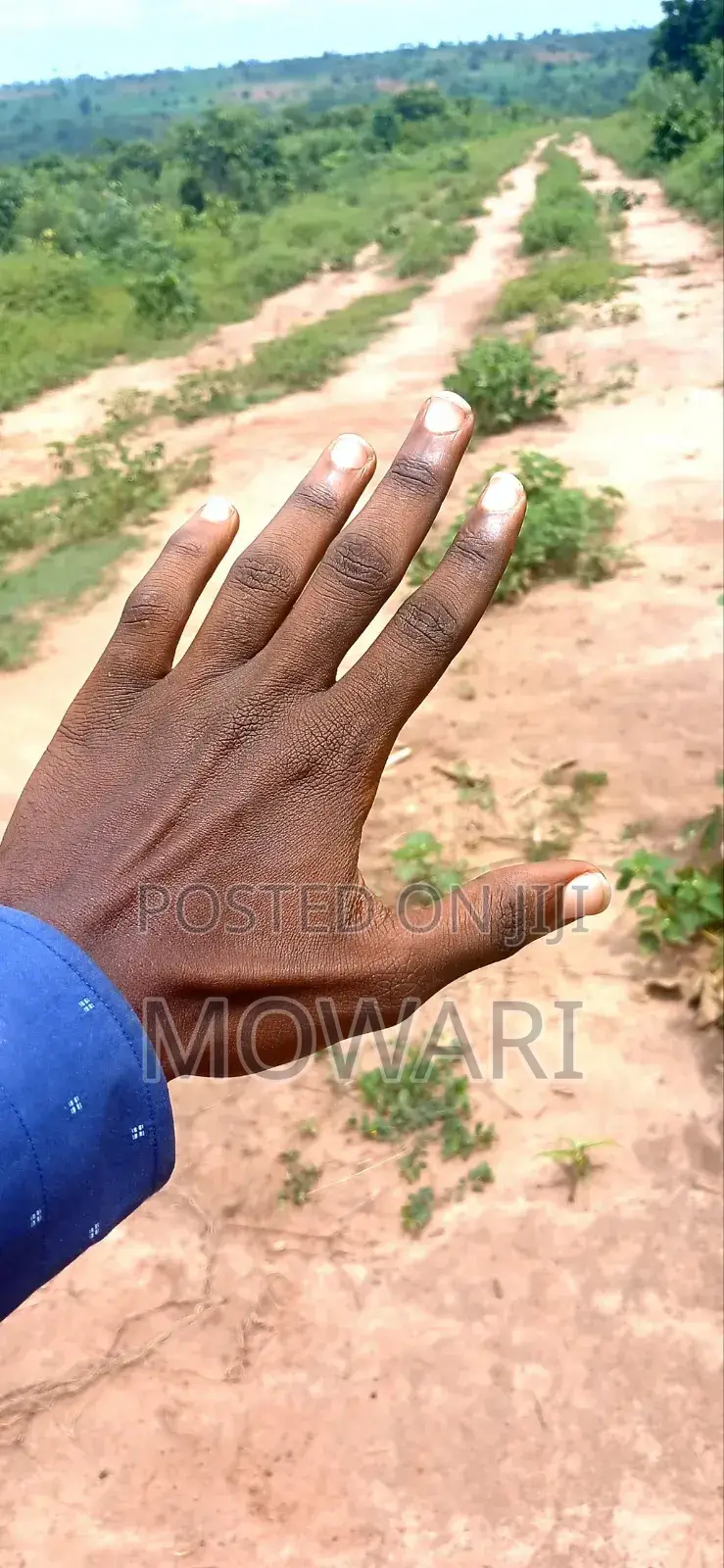 St Kitts, Ibusa • Verified 50×100 Land • ₦6m • Secure Docs in Oshimili North