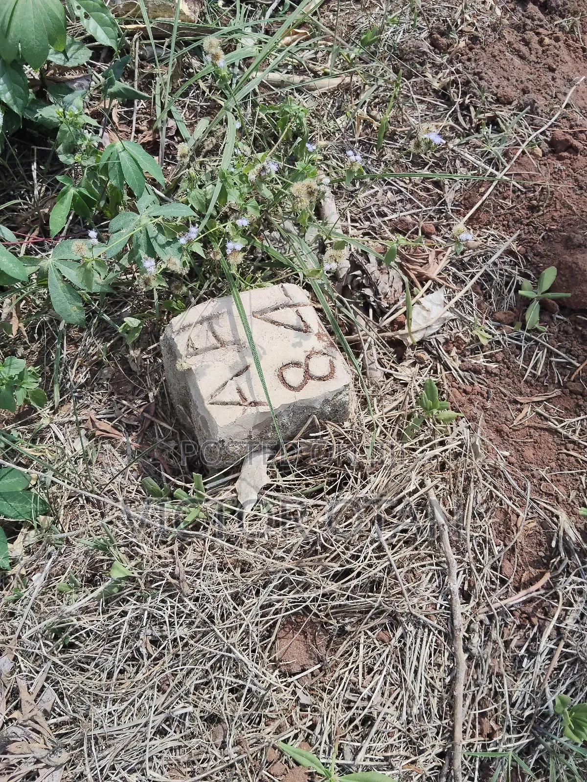One Plot of Land in a Choice Area in Benin in Benin City