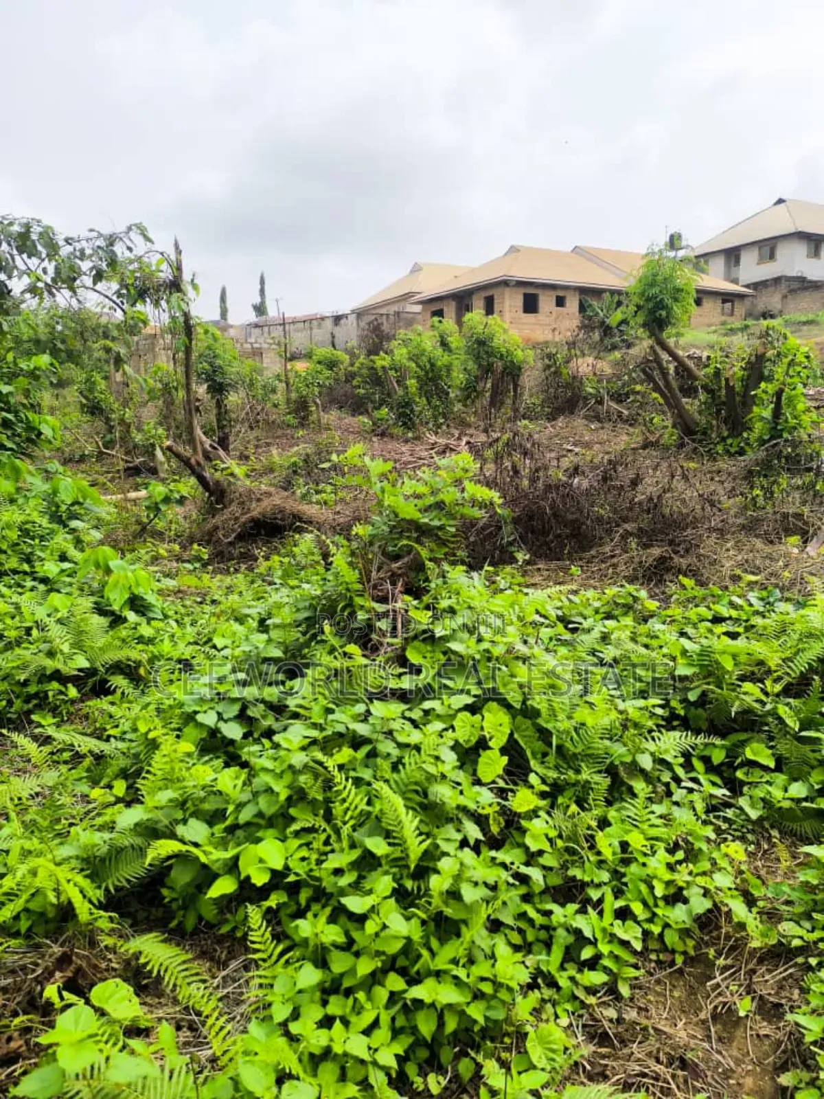 A Plot of Land at Olonde Ologuneru Eleyele Ibadan Asking 6.5m in Ologuneru