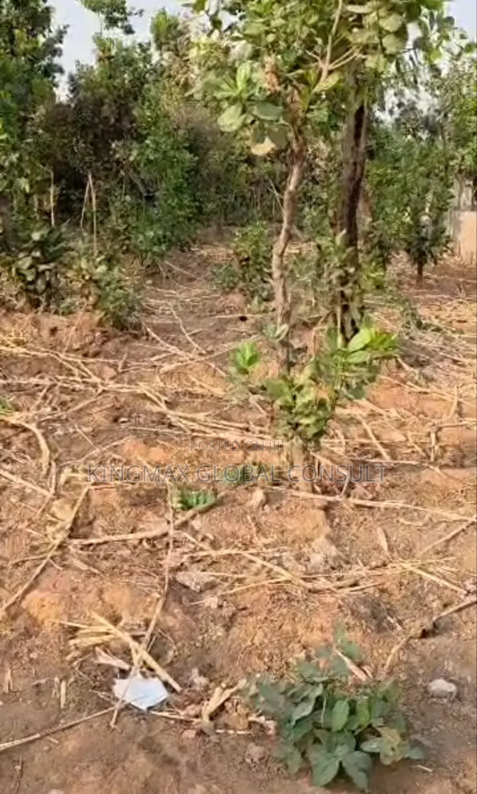 Dape Residential Plot for Distress Sale*: Size 856sqm in Life Camp